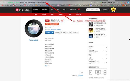 头条图文评论怎么加音乐,打造动感头条副标题新风尚